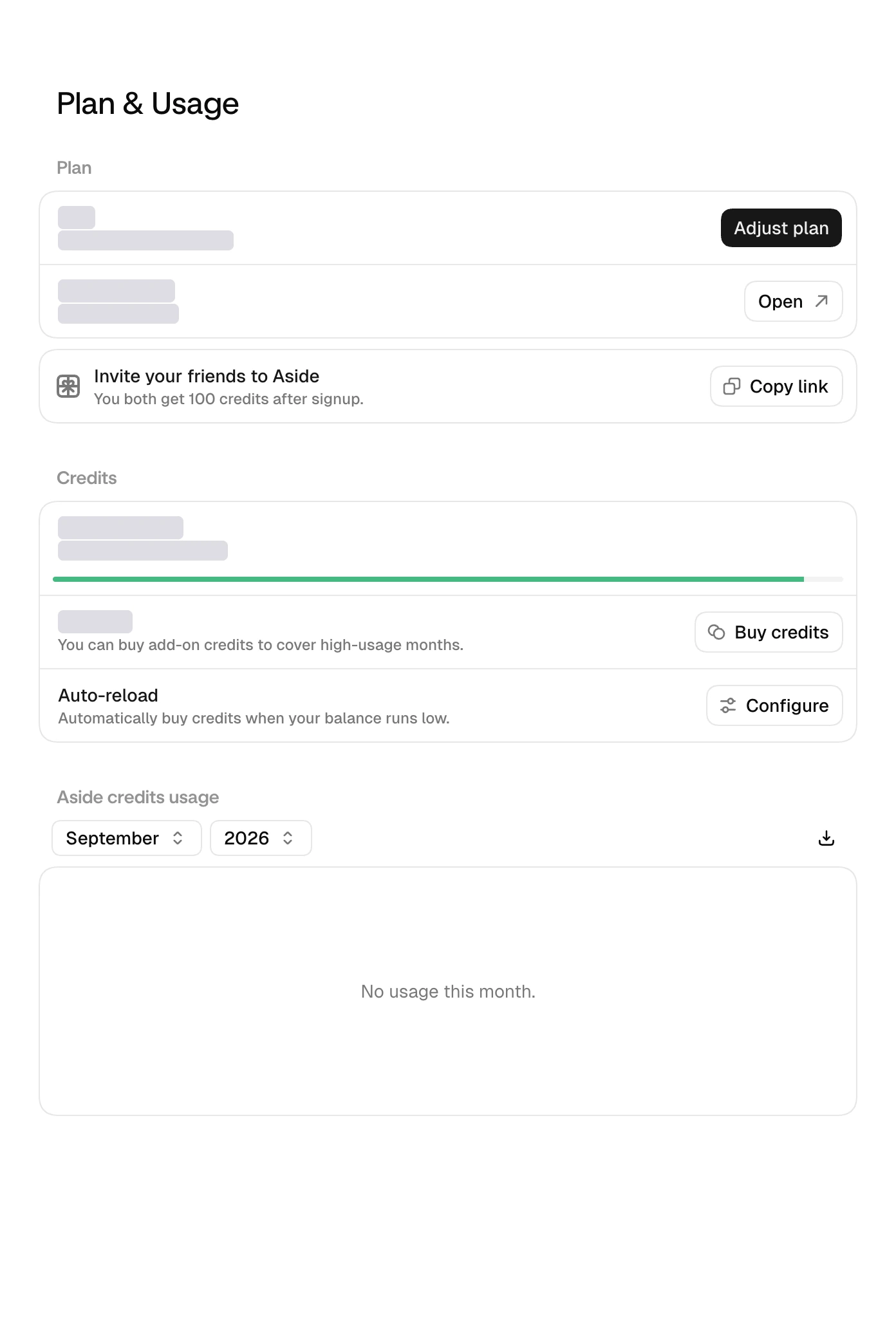 캡처: Settings › Plan & Usage